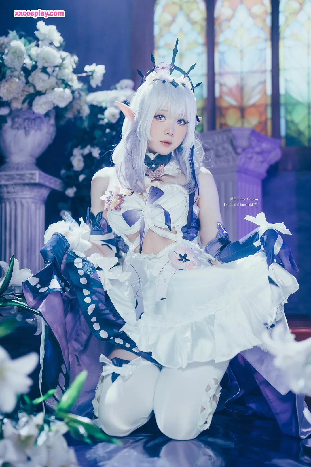 Shimotsuki Shimo - Castorice Elfe Éthérée Gravure